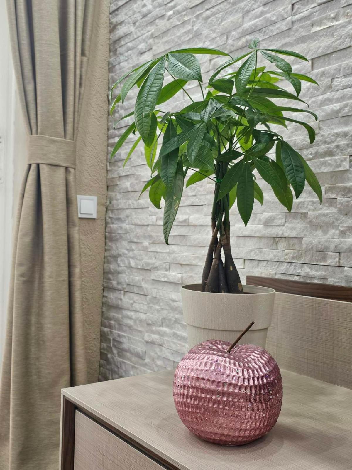 Apartament Sun Rays Kotor Zewnętrze zdjęcie
